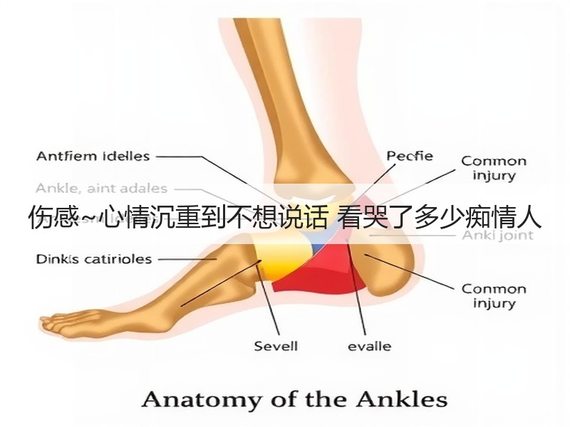 伤感~心情沉重到不想说话 看哭了多少痴情人