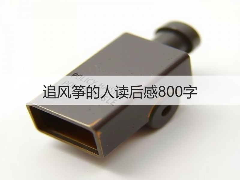 追风筝的人读后感800字
