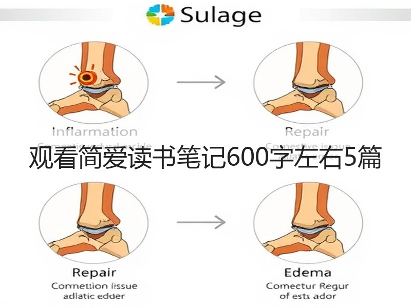 观看简爱读书笔记600字左右5篇