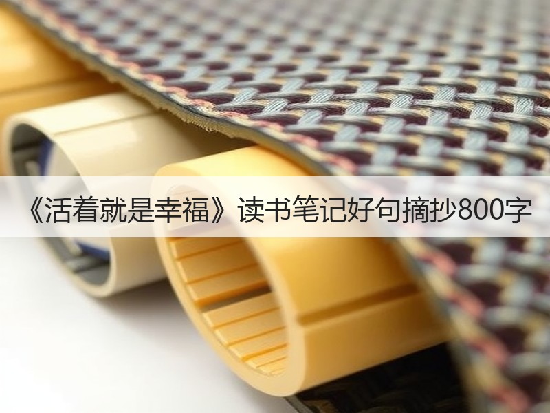 《活着就是幸福》读书笔记好句摘抄800字