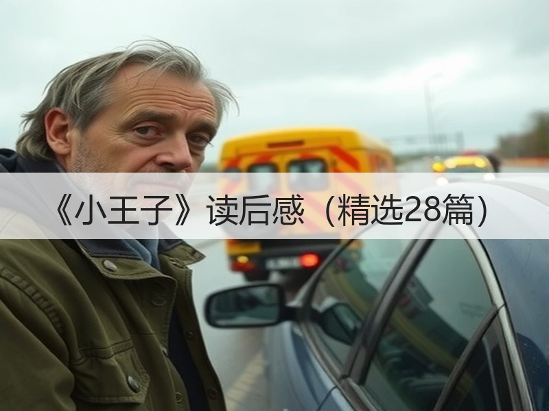 《小王子》读后感（精选28篇）