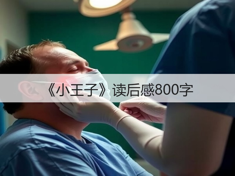 《小王子》读后感800字
