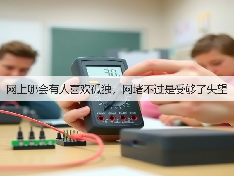 网上哪会有人喜欢孤独，网堵不过是受够了失望