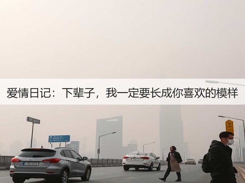 爱情日记：下辈子，我一定要长成你喜欢的模样
