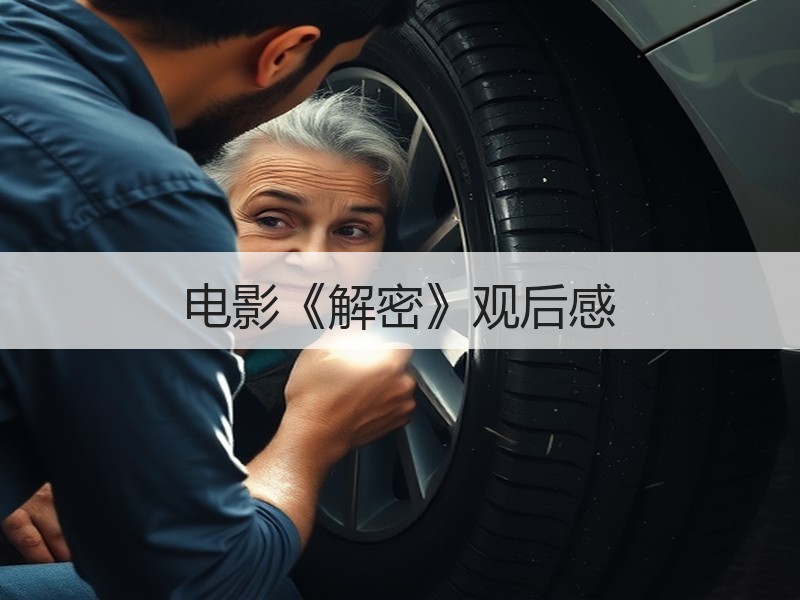 电影《解密》观后感