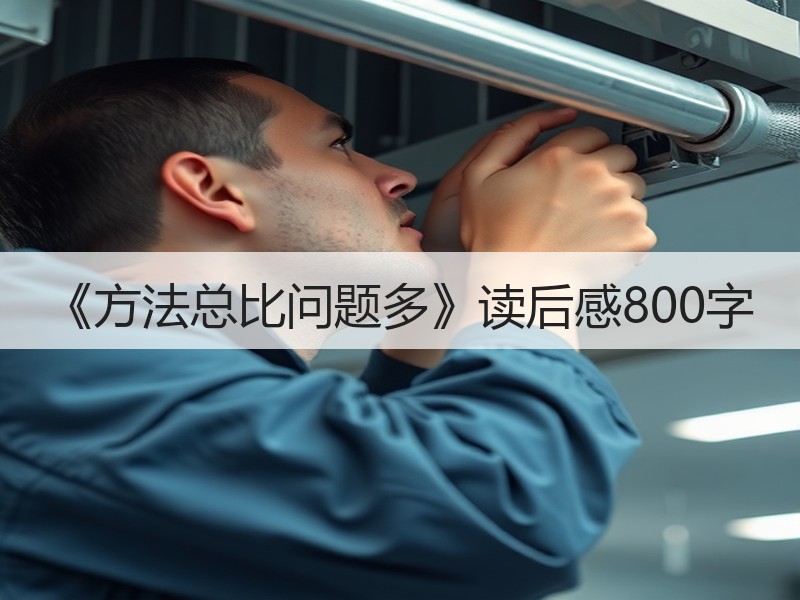 《方法总比问题多》读后感800字