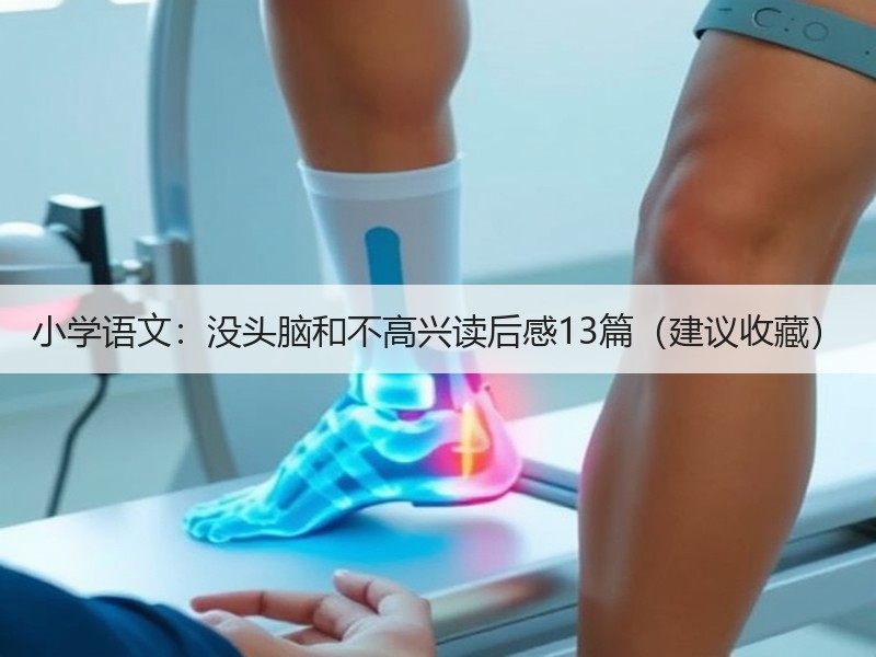 小学语文：没头脑和不高兴读后感13篇（建议收藏）