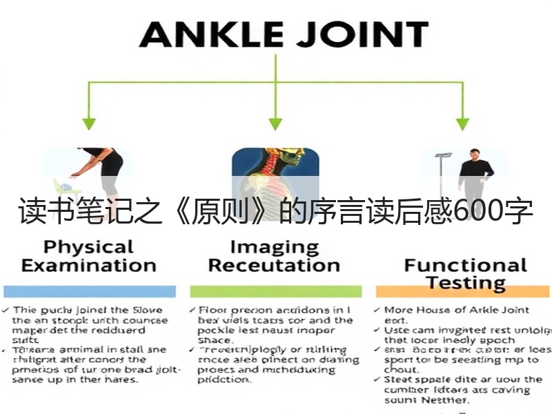 读书笔记之《原则》的序言读后感600字