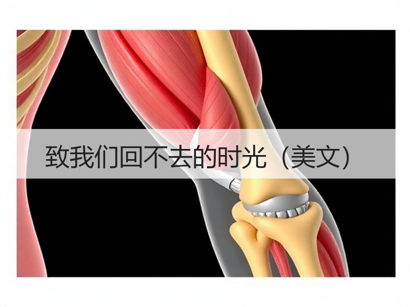 致我们回不去的时光（美文）