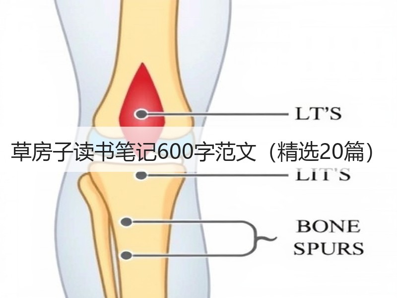 草房子读书笔记600字范文（精选20篇）