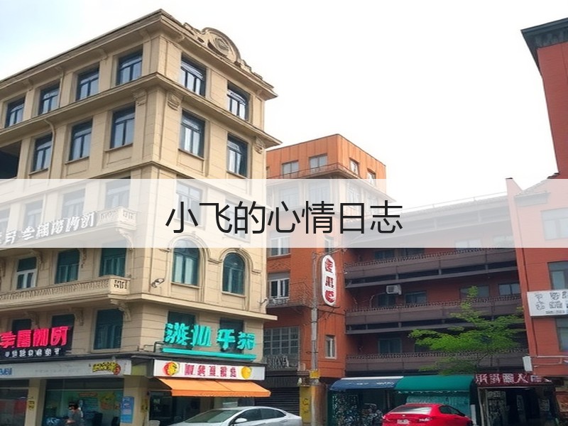 小飞的心情日志