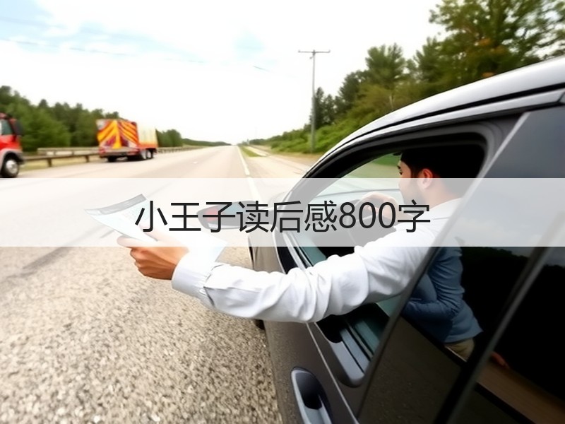 小王子读后感800字