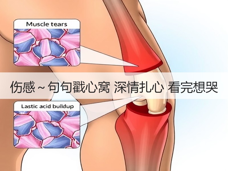 伤感～句句戳心窝 深情扎心 看完想哭