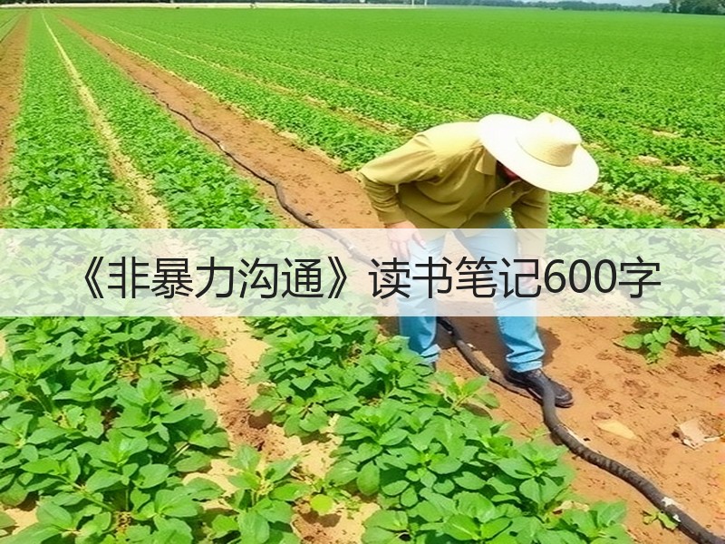 《非暴力沟通》读书笔记600字