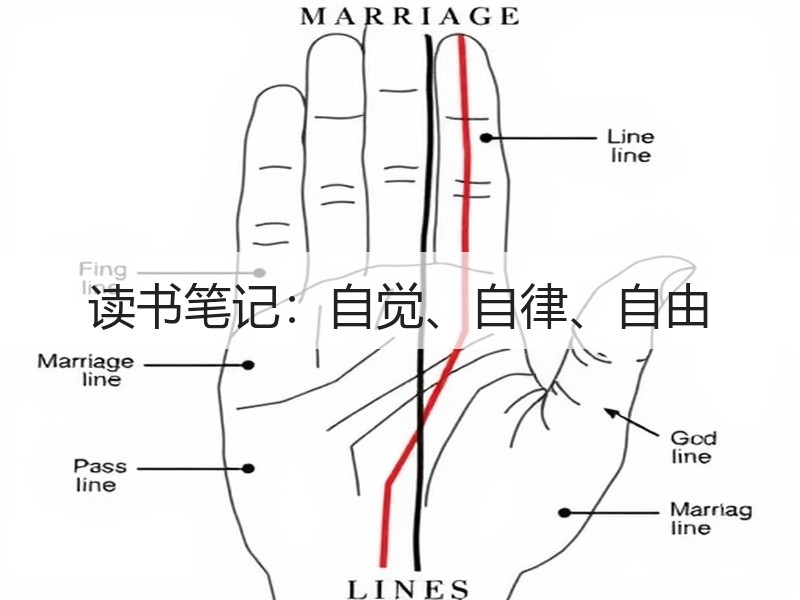 读书笔记：自觉、自律、自由