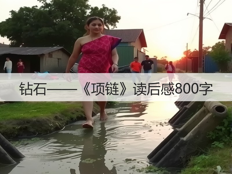 钻石——《项链》读后感800字