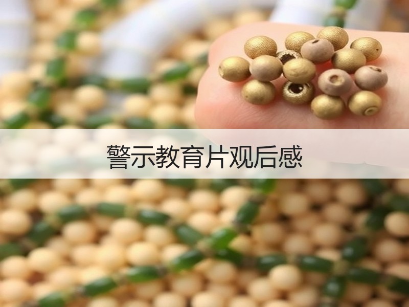 警示教育片观后感