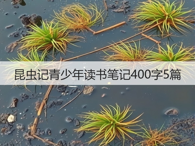 昆虫记青少年读书笔记400字5篇