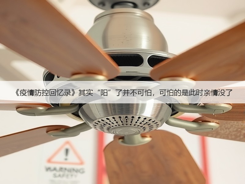 《疫情防控回忆录》其实“阳”了并不可怕，可怕的是此时亲情没了