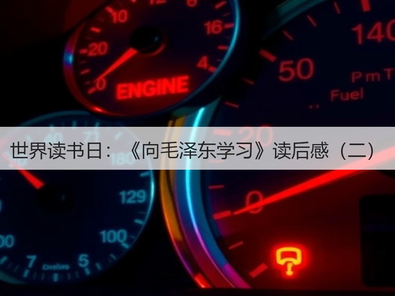 世界读书日：《向毛泽东学习》读后感（二）