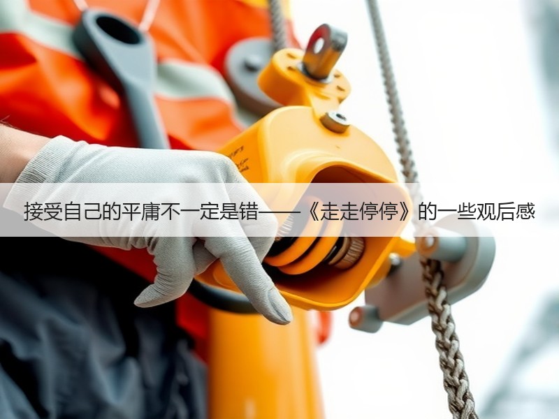 接受自己的平庸不一定是错——《走走停停》的一些观后感