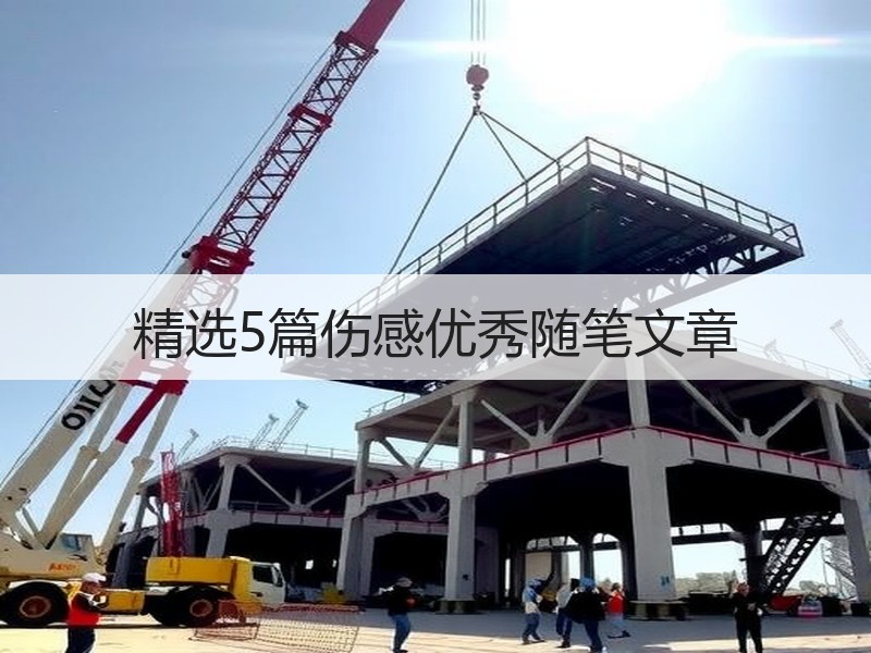 精选5篇伤感优秀随笔文章