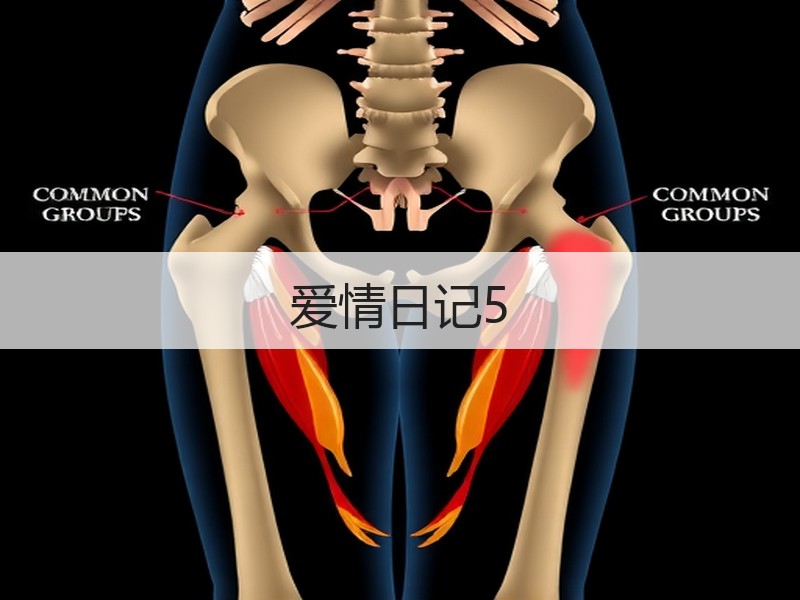 爱情日记5