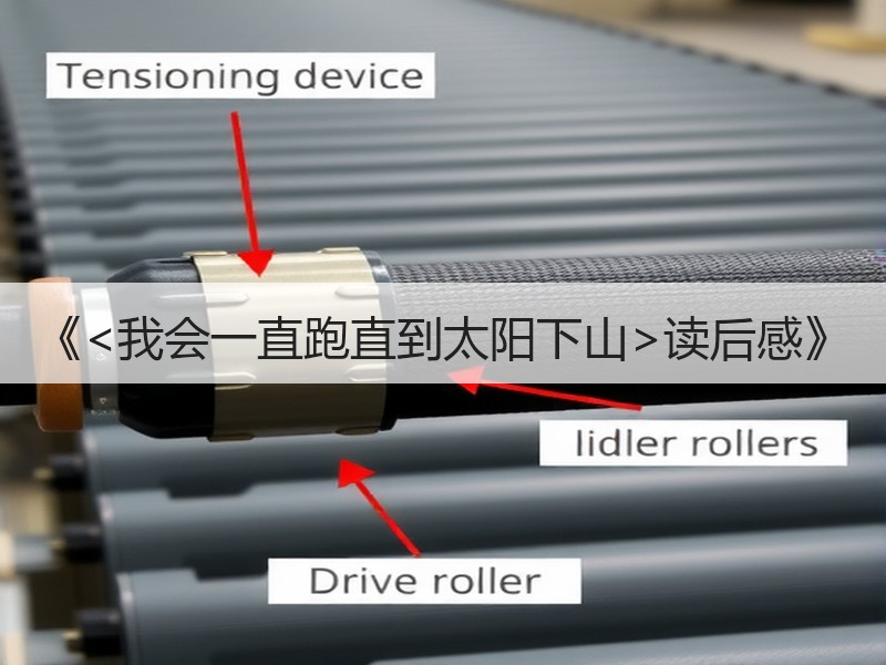 《<我会一直跑直到太阳下山>读后感》