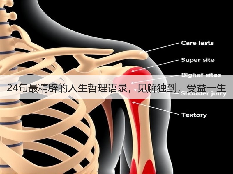 24句最精辟的人生哲理语录，见解独到，受益一生