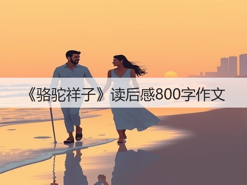 《骆驼祥子》读后感800字作文