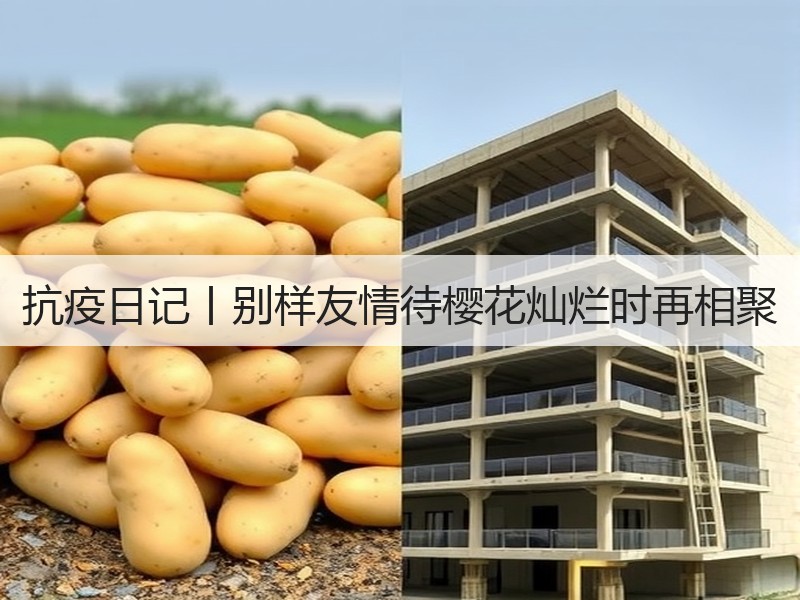 抗疫日记丨别样友情待樱花灿烂时再相聚