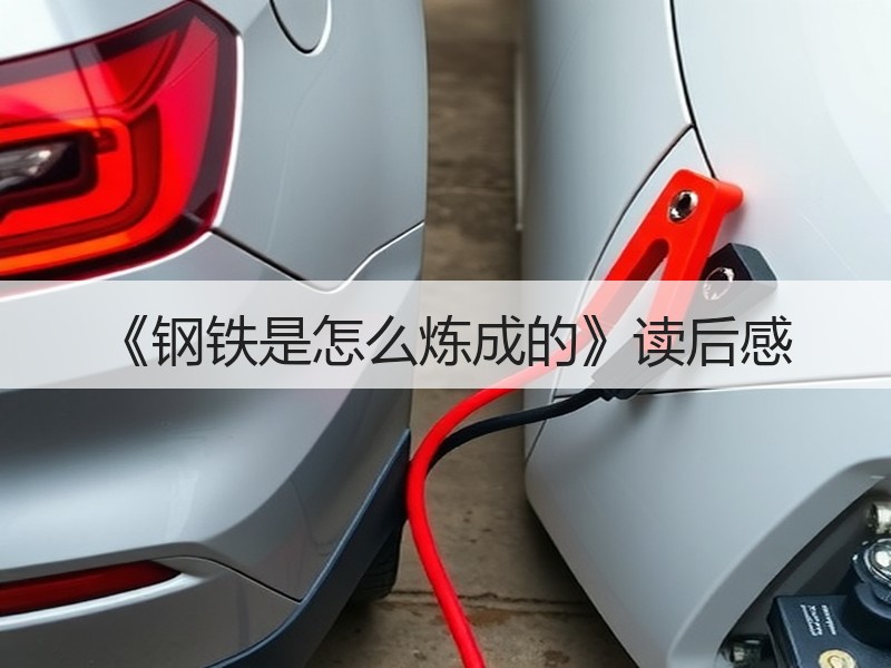《钢铁是怎么炼成的》读后感