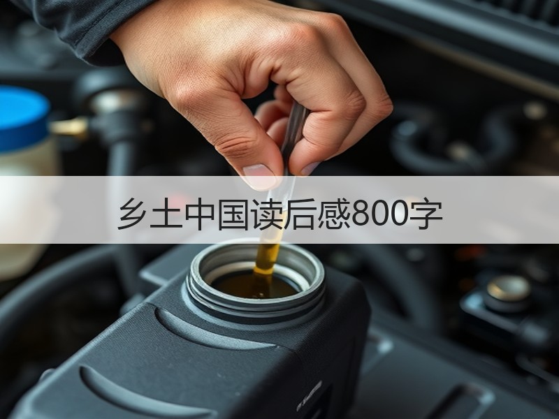 乡土中国读后感800字