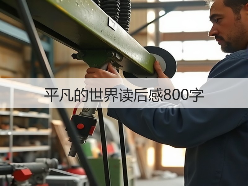平凡的世界读后感800字