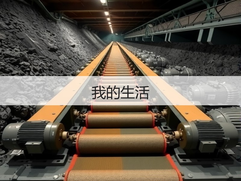 我的生活