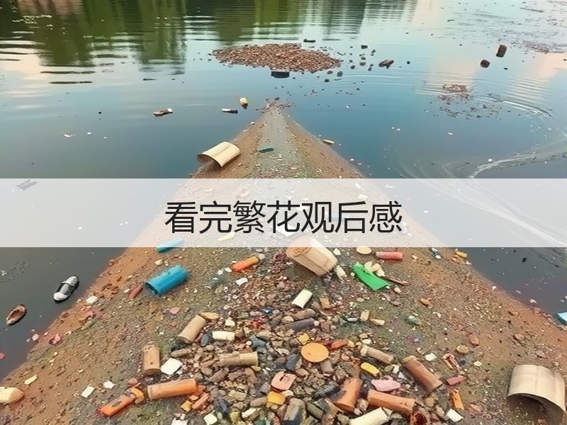 看完繁花观后感