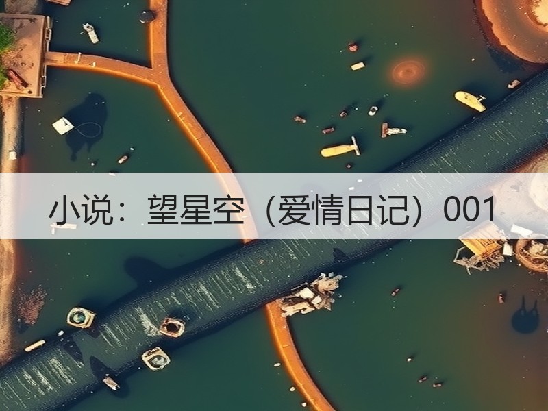 小说：望星空（爱情日记）001