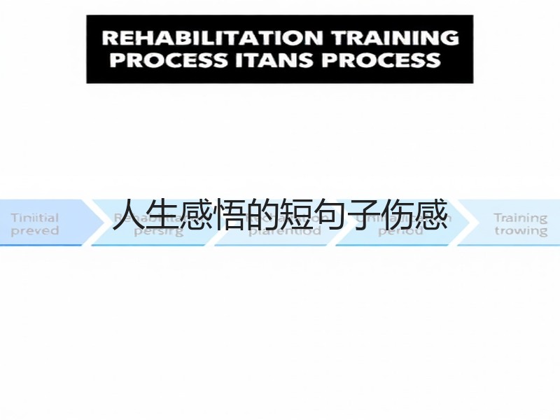 人生感悟的短句子伤感
