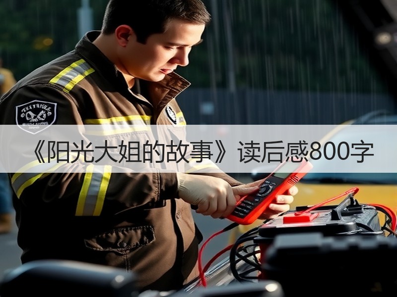 《阳光大姐的故事》读后感800字