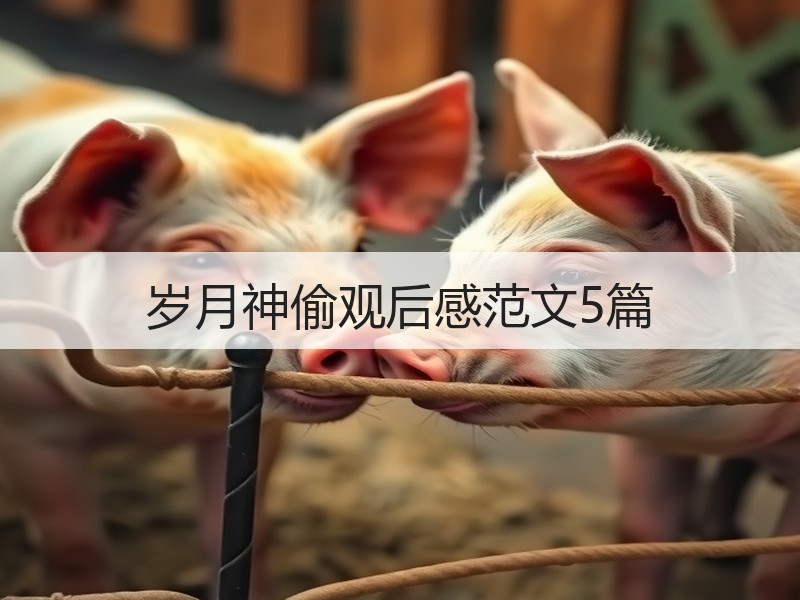 岁月神偷观后感范文5篇