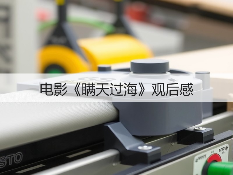 电影《瞒天过海》观后感