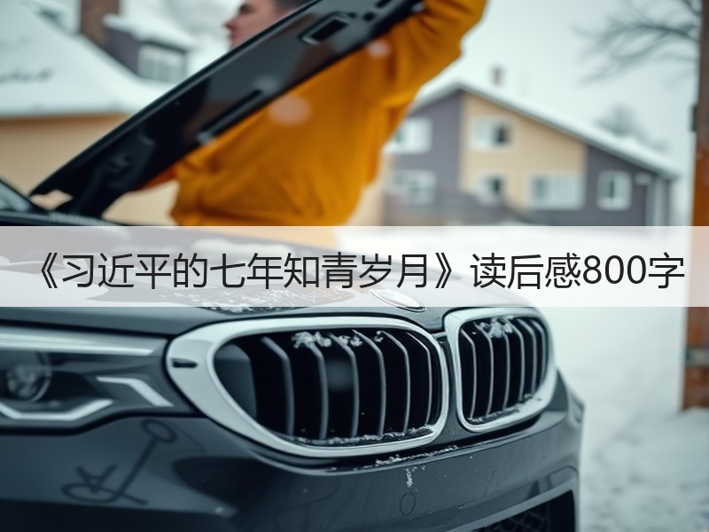 《习近平的七年知青岁月》读后感800字