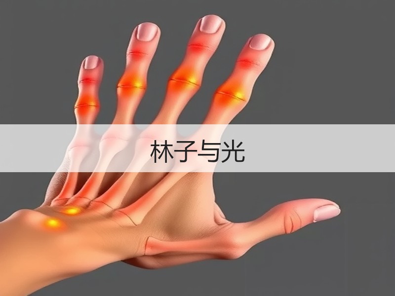 林子与光