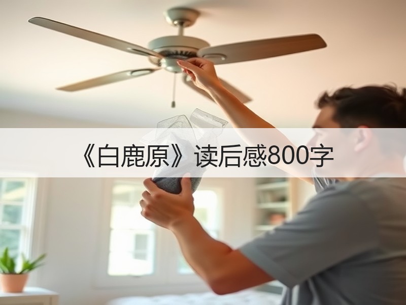 《白鹿原》读后感800字