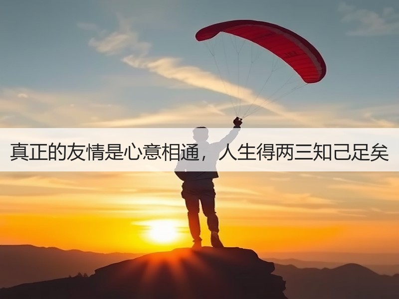 真正的友情是心意相通，人生得两三知己足矣