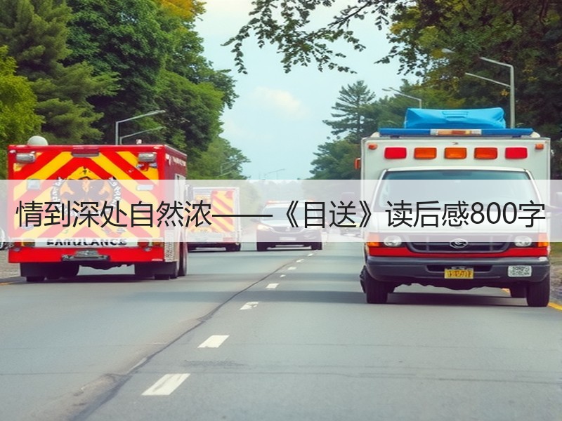 情到深处自然浓——《目送》读后感800字
