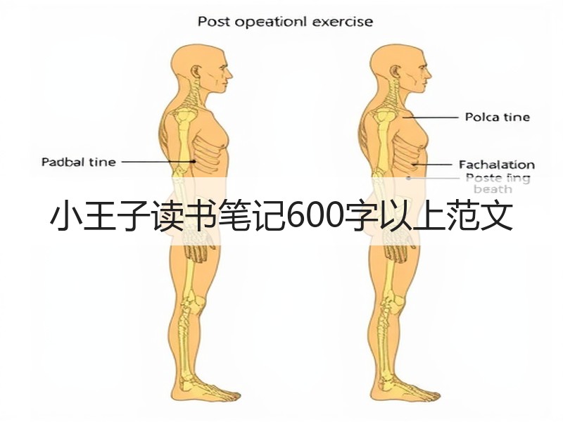 小王子读书笔记600字以上范文