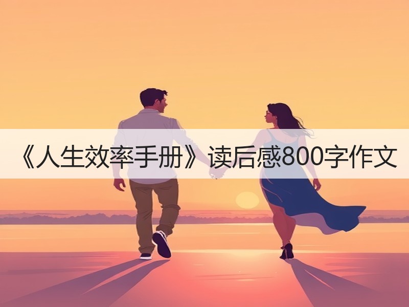 《人生效率手册》读后感800字作文
