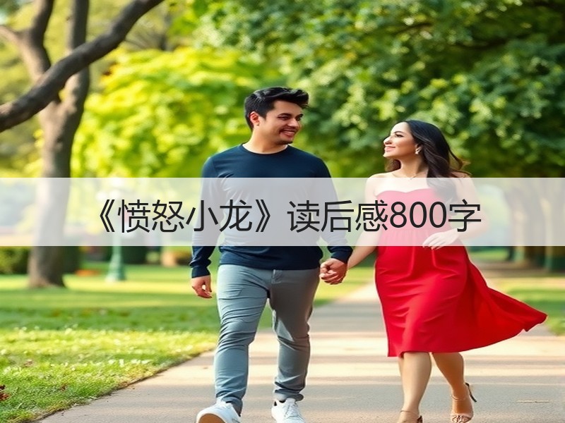 《愤怒小龙》读后感800字