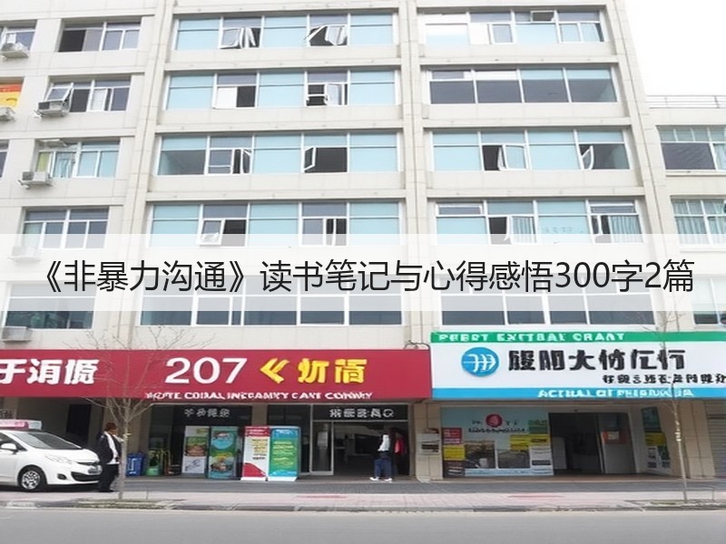 《非暴力沟通》读书笔记与心得感悟300字2篇